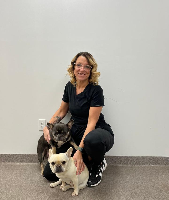 Experienced Veterinarians Animal Hospital in DoverFoxcroft